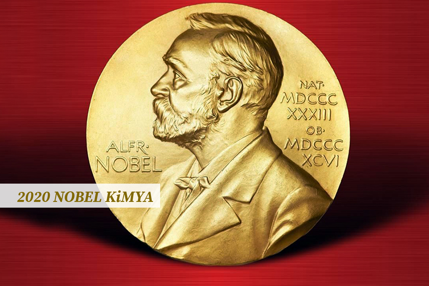 2020 Nobel Kimya Ödülü Sahiplerini Buldu